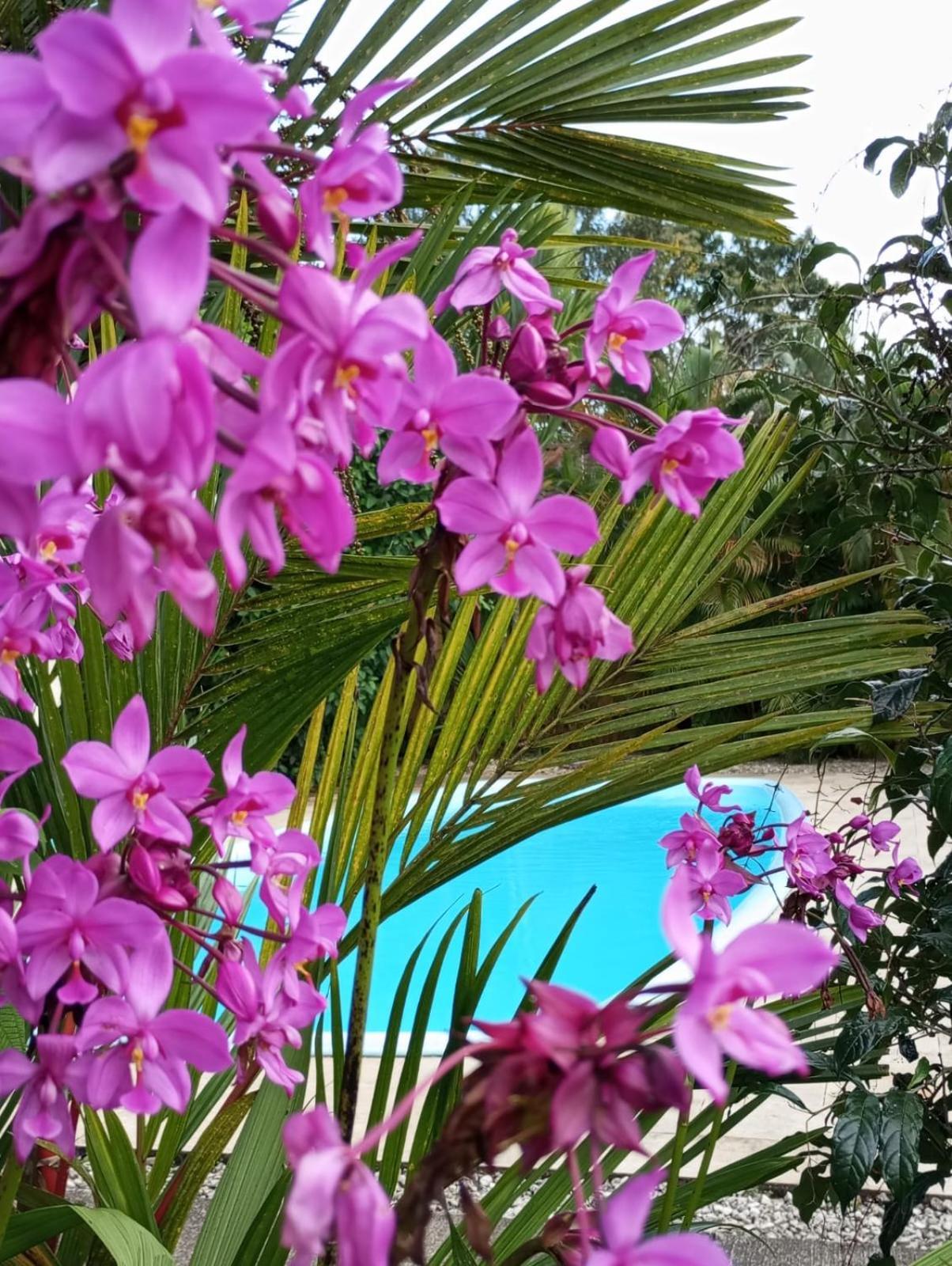 Lakegardens Arenal Condos Nuevo Arenal Εξωτερικό φωτογραφία