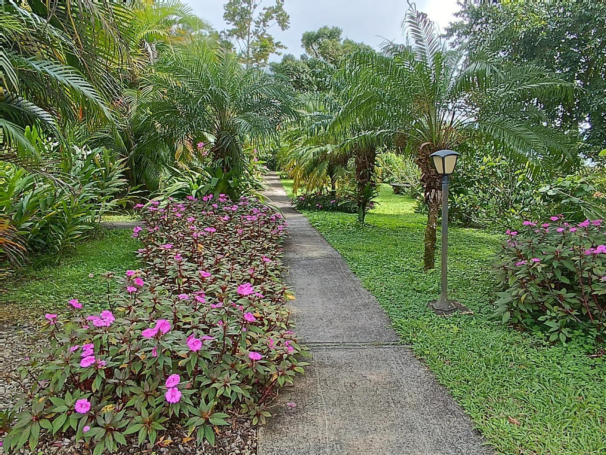 Lakegardens Arenal Condos Nuevo Arenal Εξωτερικό φωτογραφία
