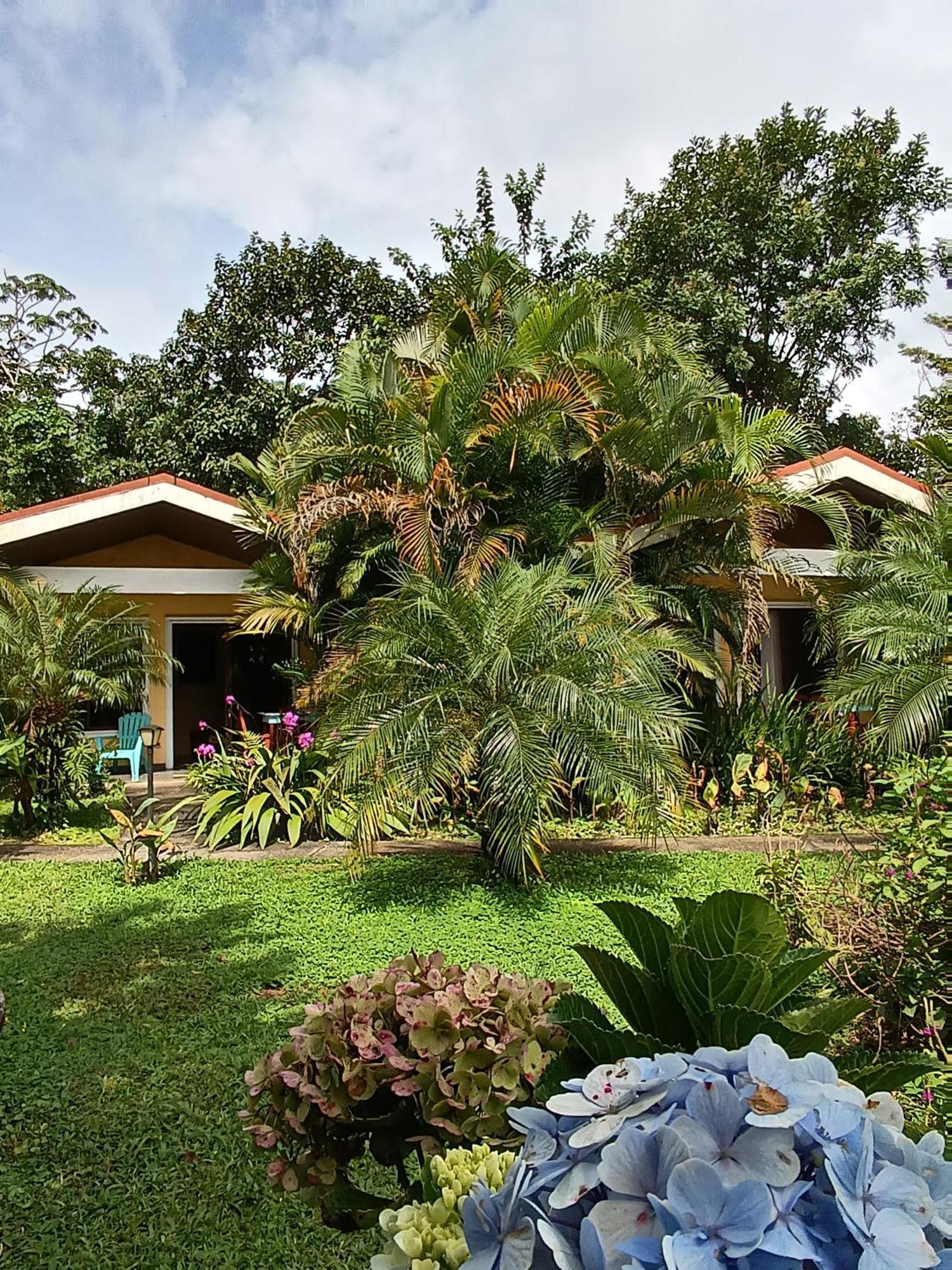 Lakegardens Arenal Condos Nuevo Arenal Εξωτερικό φωτογραφία