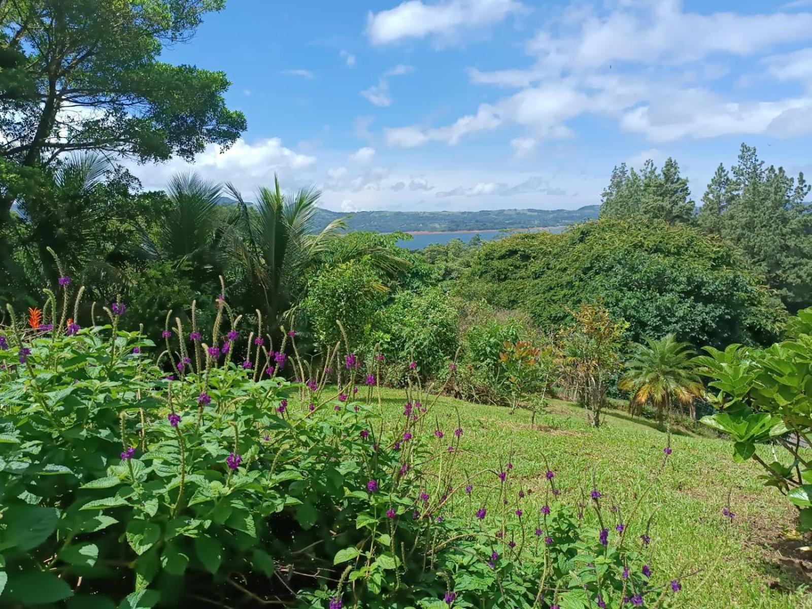 Lakegardens Arenal Condos Nuevo Arenal Εξωτερικό φωτογραφία