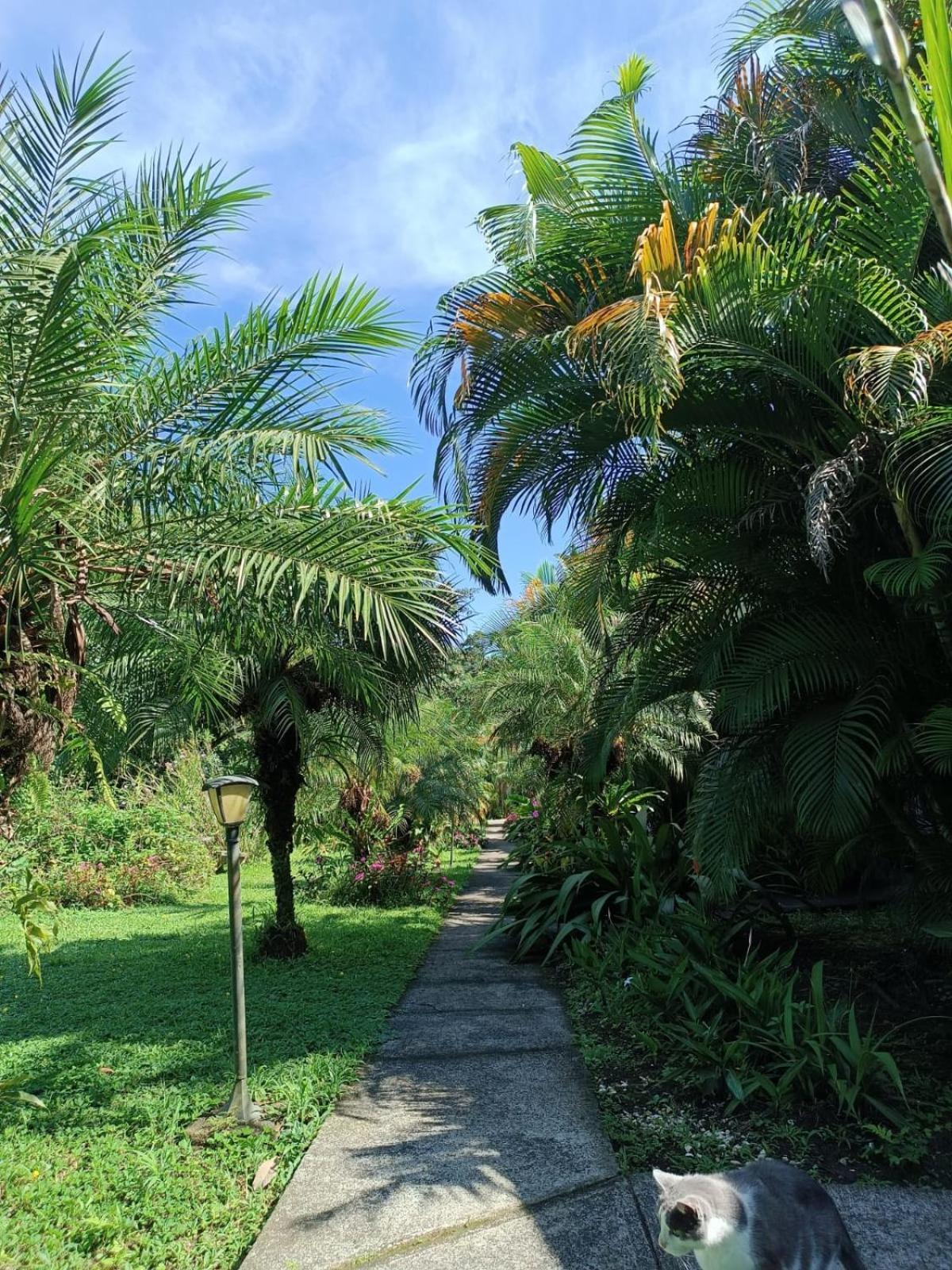 Lakegardens Arenal Condos Nuevo Arenal Εξωτερικό φωτογραφία